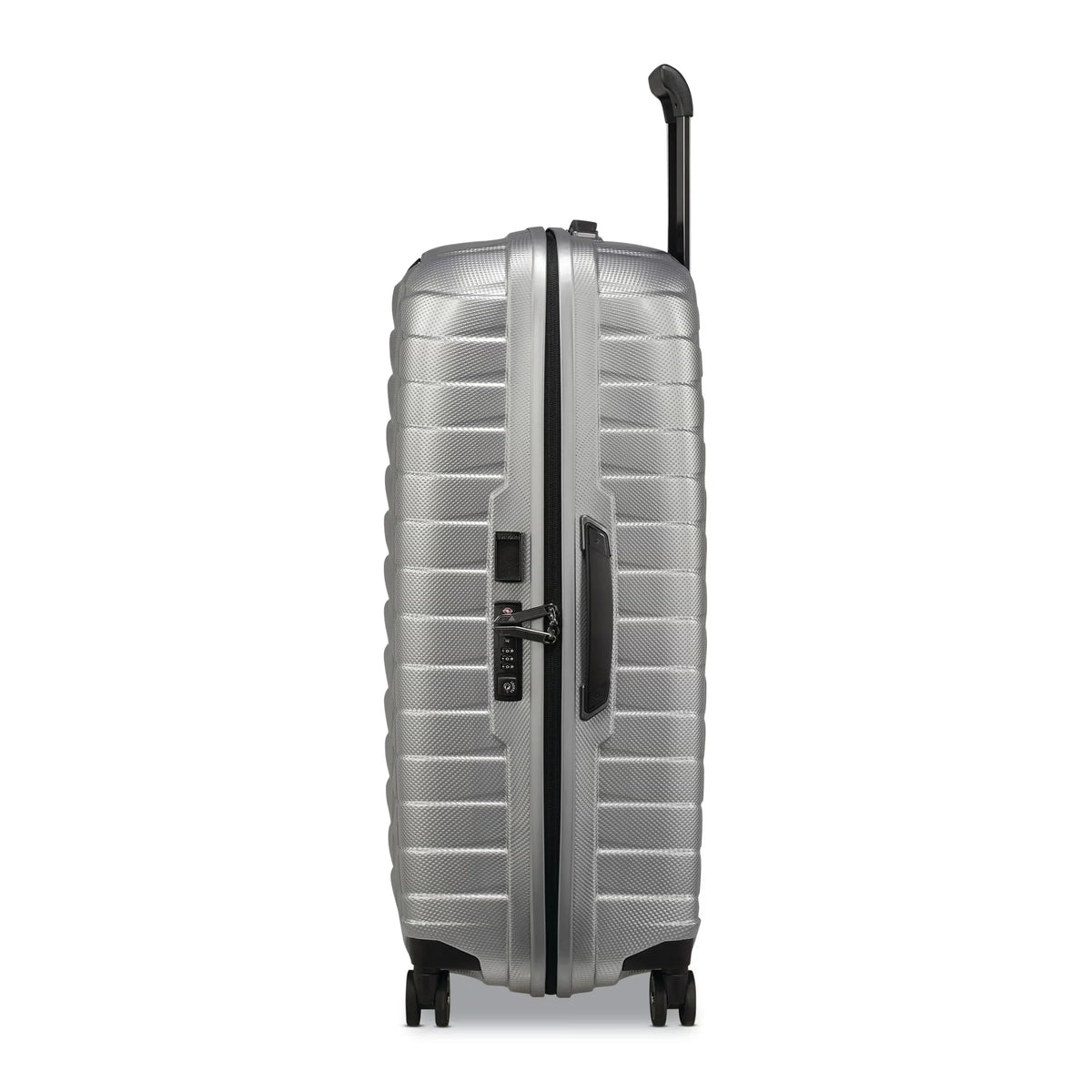 Proxis Large Spinner