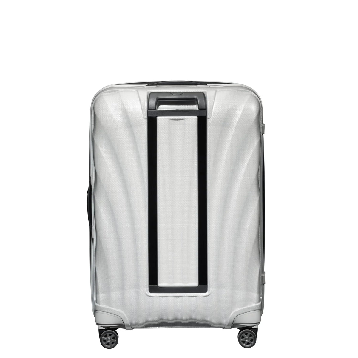 C-Lite Large Spinner