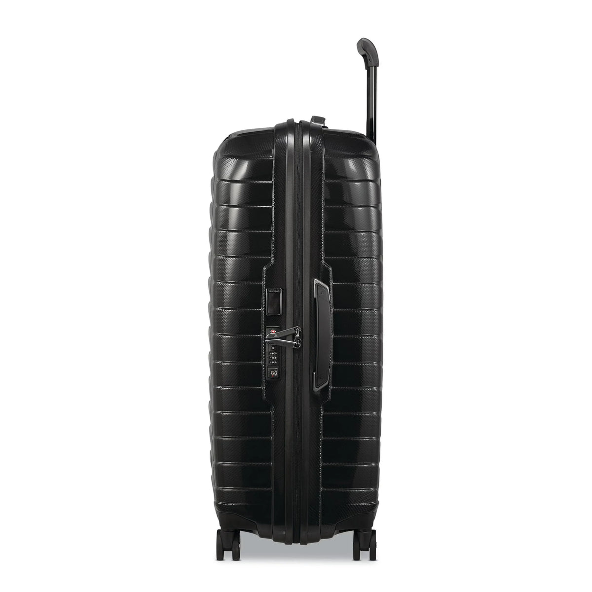 Proxis Large Spinner